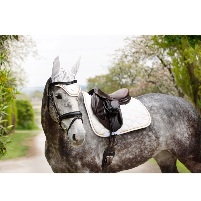Coldstream Marygold GP Saddle Pad - White-1